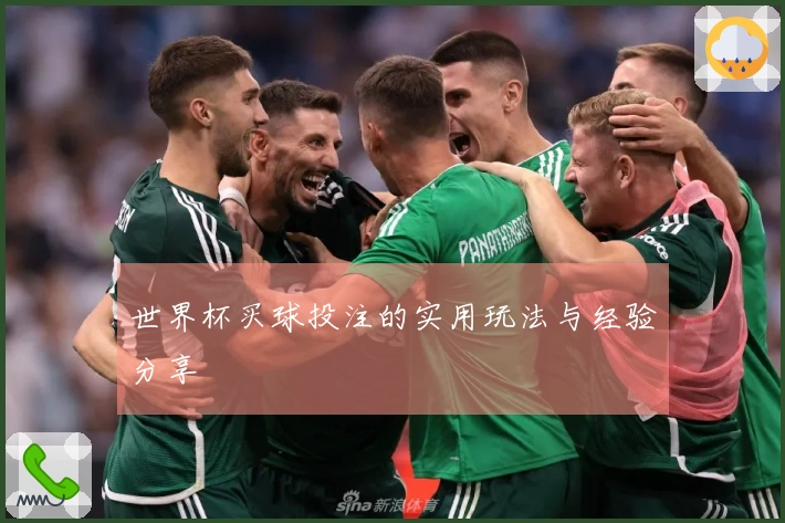 世界杯买球投注的实用玩法与经验分享