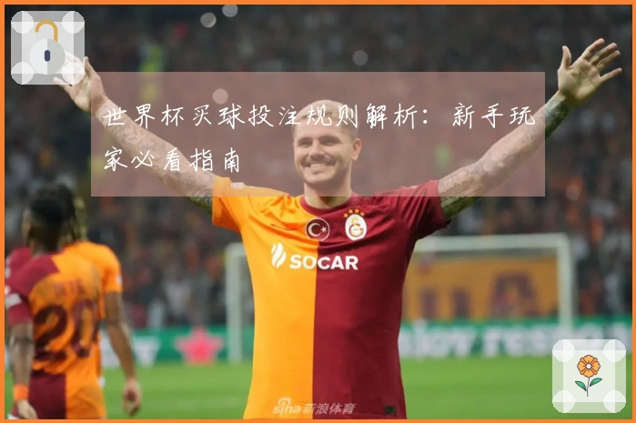 世界杯买球投注规则解析：新手玩家必看指南