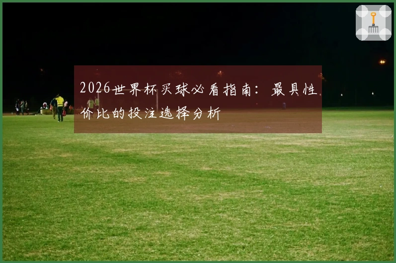 2026世界杯买球必看指南：最具性价比的投注选择分析
