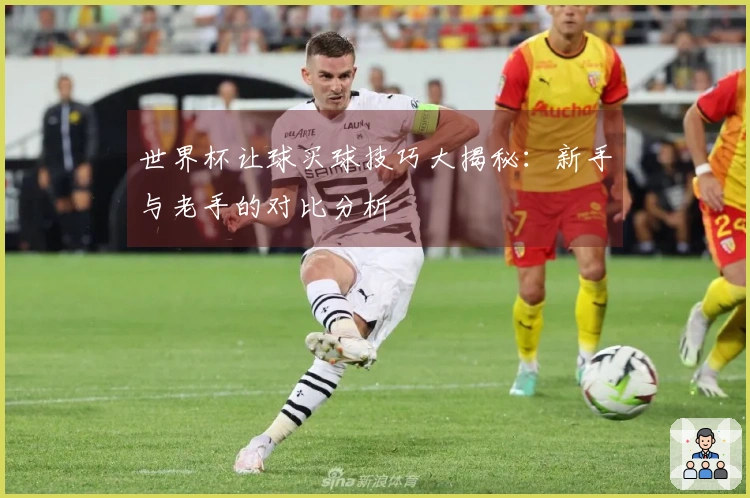 世界杯让球买球技巧大揭秘：新手与老手的对比分析