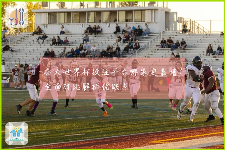 各大世界杯投注平台哪家更靠谱？全面对比解析优缺点
