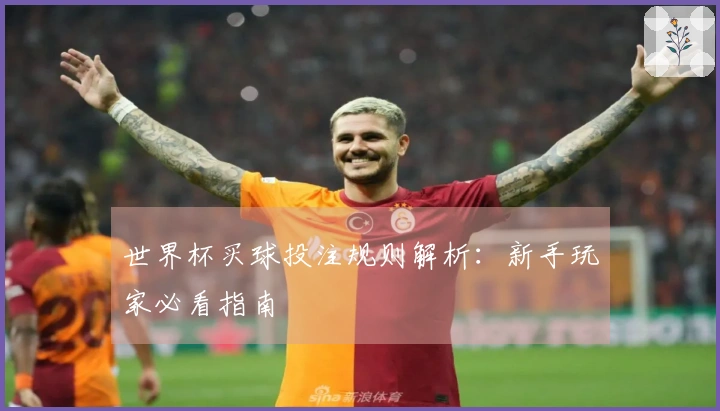 世界杯买球投注规则解析：新手玩家必看指南