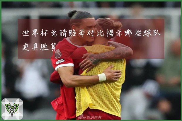 世界杯竞猜赔率对比揭示哪些球队更具胜算