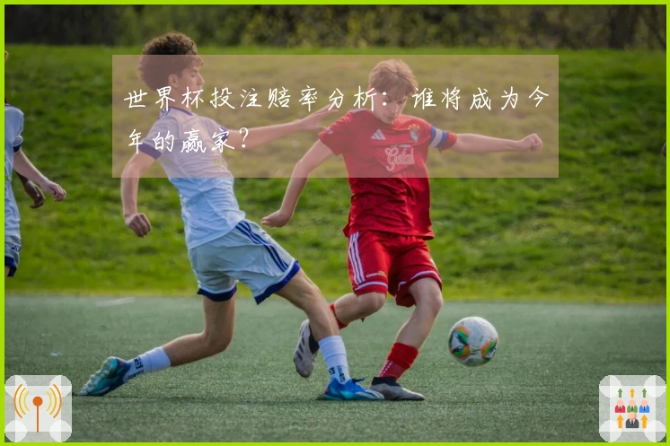 世界杯投注赔率分析：谁将成为今年的赢家？